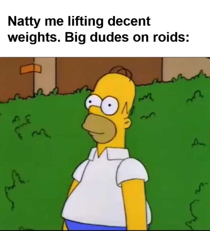 Natty Me Lifting Decent Weights Big Dudes On Roids