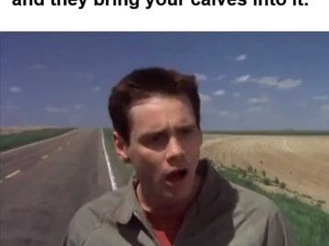 When You Having An Argument And They Bring Your Calves Into It