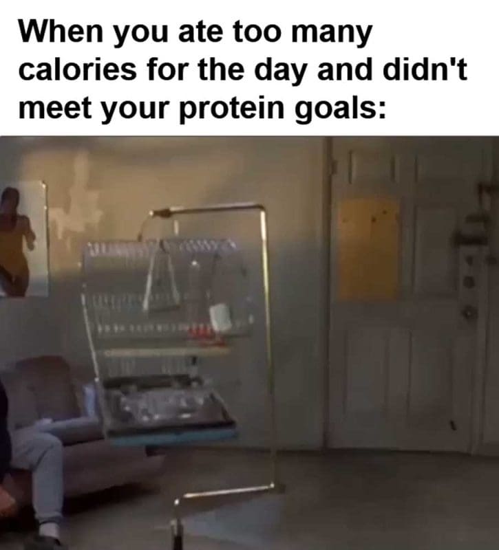 When You Ate Too Many Calories For The Day And Didn't Meet Your Protein Goals