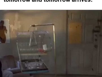 When You Leave Leg Day For Tomorrow And Tomorrow Arrives