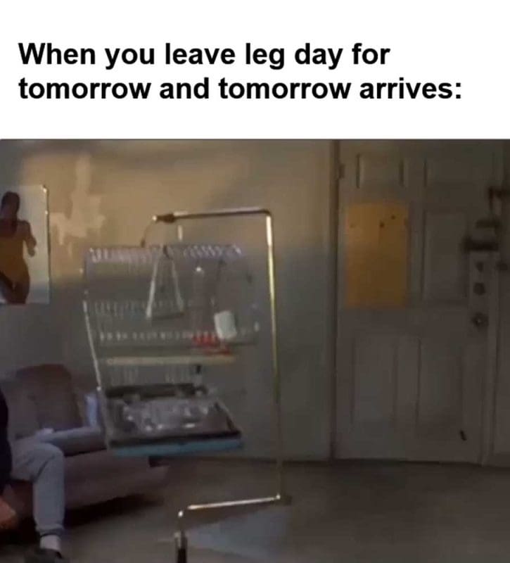 When You Leave Leg Day For Tomorrow And Tomorrow Arrives