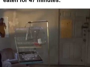 When You're Dieting And Not Eaten For Minutes