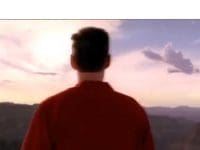 Chicken Breast On Sale