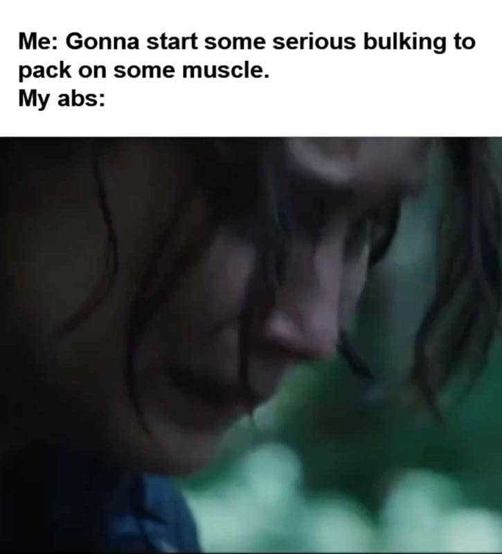 Me Gonna Start Some Serious Bulking To Pack On Some Muscle My Abs
