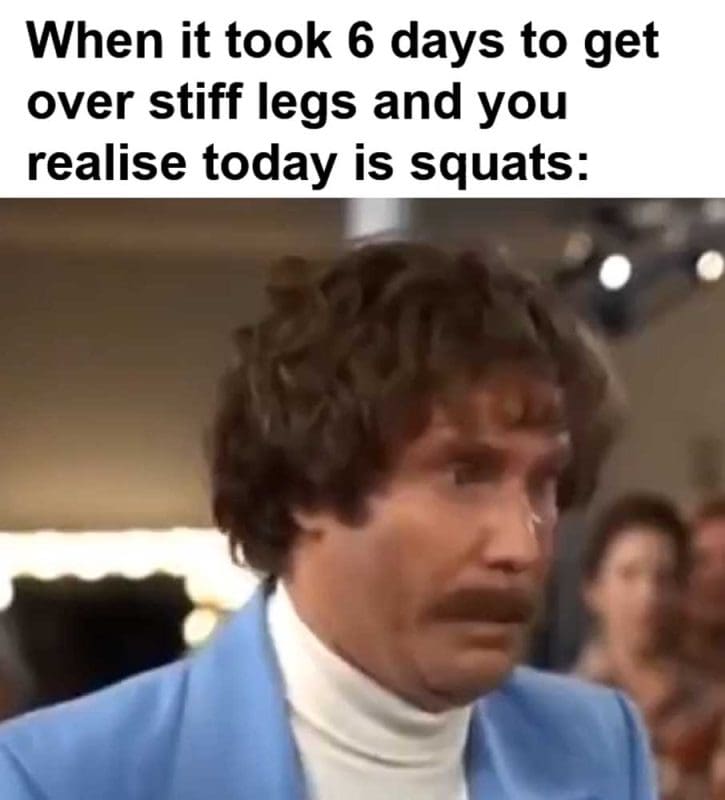 When It Took Days To Get Over Stiff Legs And You Realise Today Is Squats