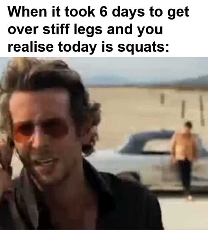When It Took Days To Get Over Stiff Legs And You Realise Today Is Squats