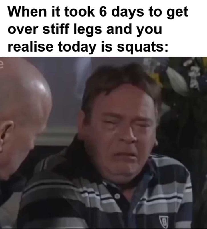 When It Took Days To Get Over Stiff Legs And You Realise Today Is Squats