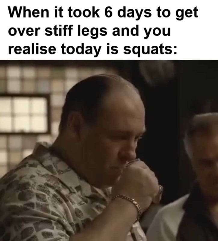 When It Took Days To Get Over Stiff Legs And You Realise Today Is Squats