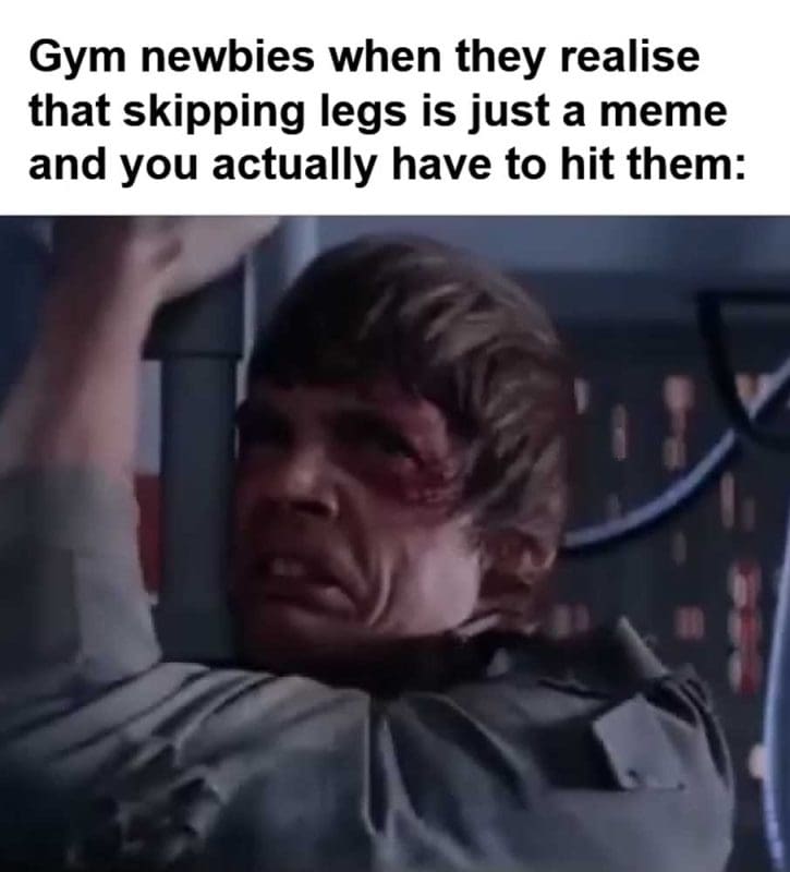 Gym Newbies When They Realise That Skipping Legs Is Just A Meme And You Actually Have To Hit Them