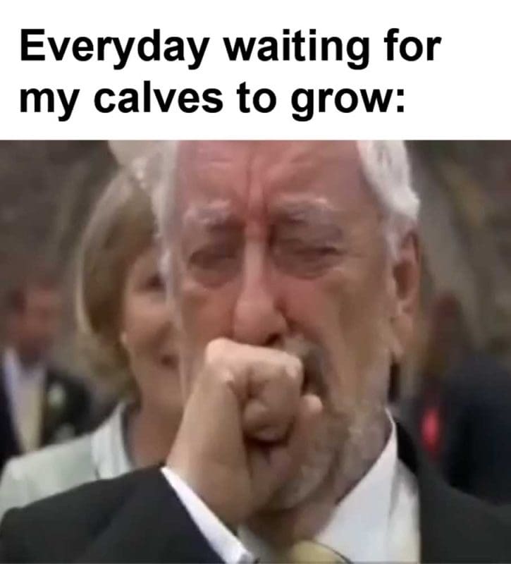 Everyday Waiting For My Calves To Grow