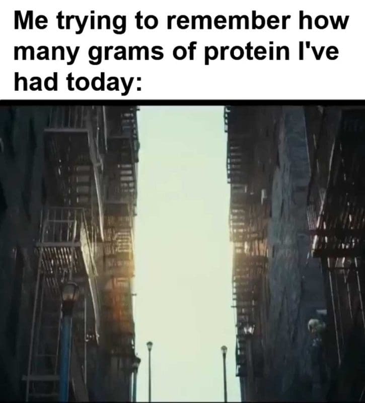 Me Trying To Remember How Many Grams Of Protein I've Had Today