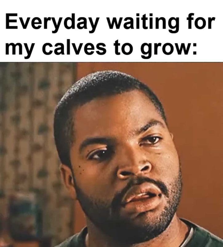 Everyday Waiting For My Calves To Grow