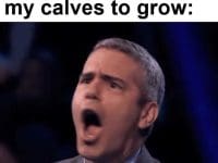 Everyday Waiting For My Calves To Grow