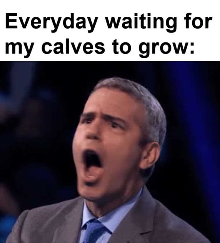 Everyday Waiting For My Calves To Grow