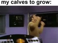 Everyday Waiting For My Calves To Grow