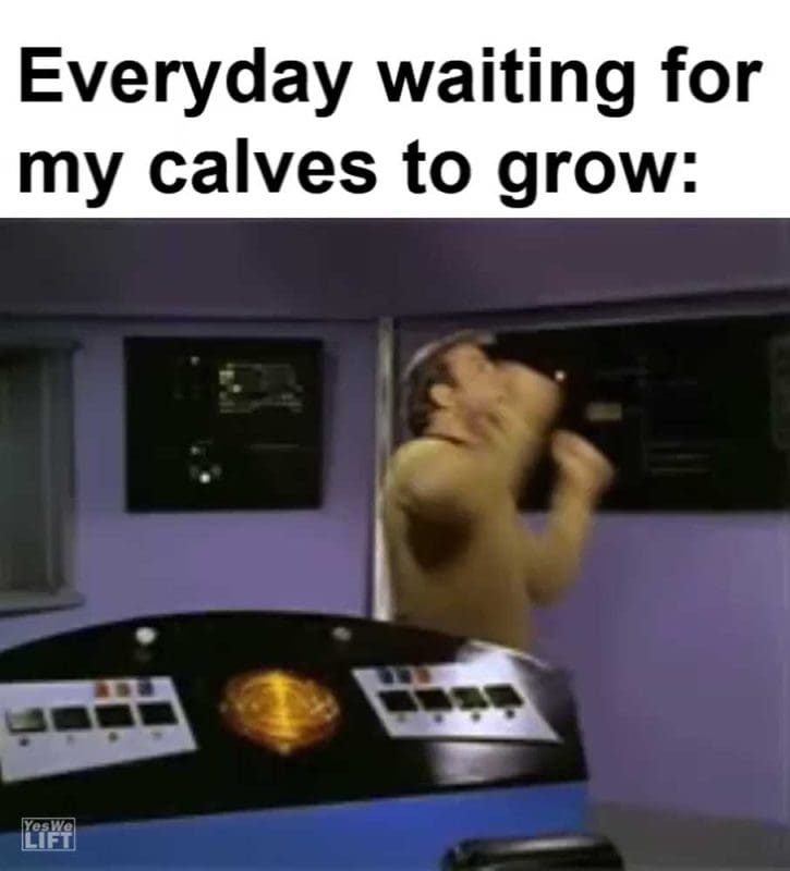 Everyday Waiting For My Calves To Grow