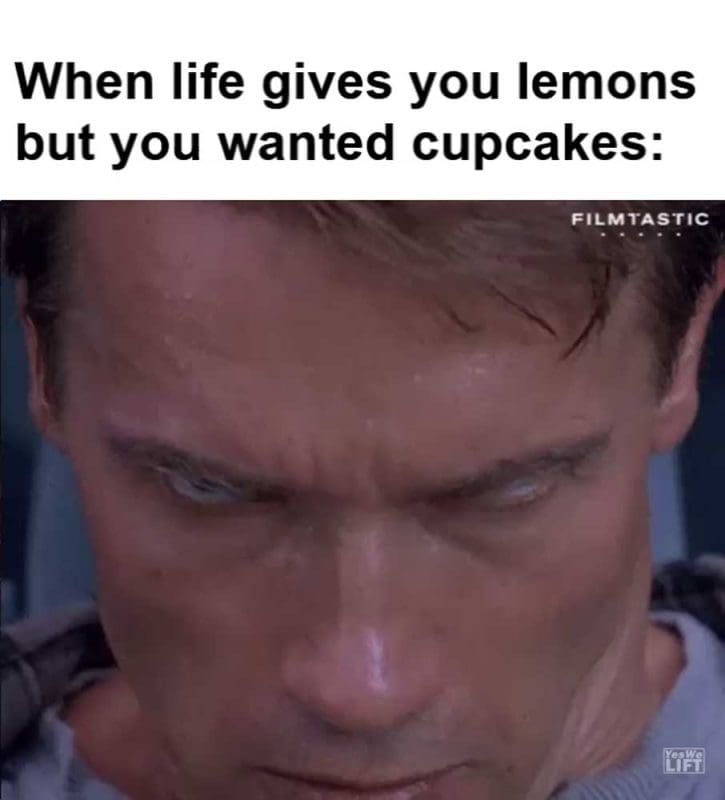 When Life Gives You Lemons But You Wanted Cupcakes