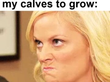 Everyday Waiting For My Calves To Grow