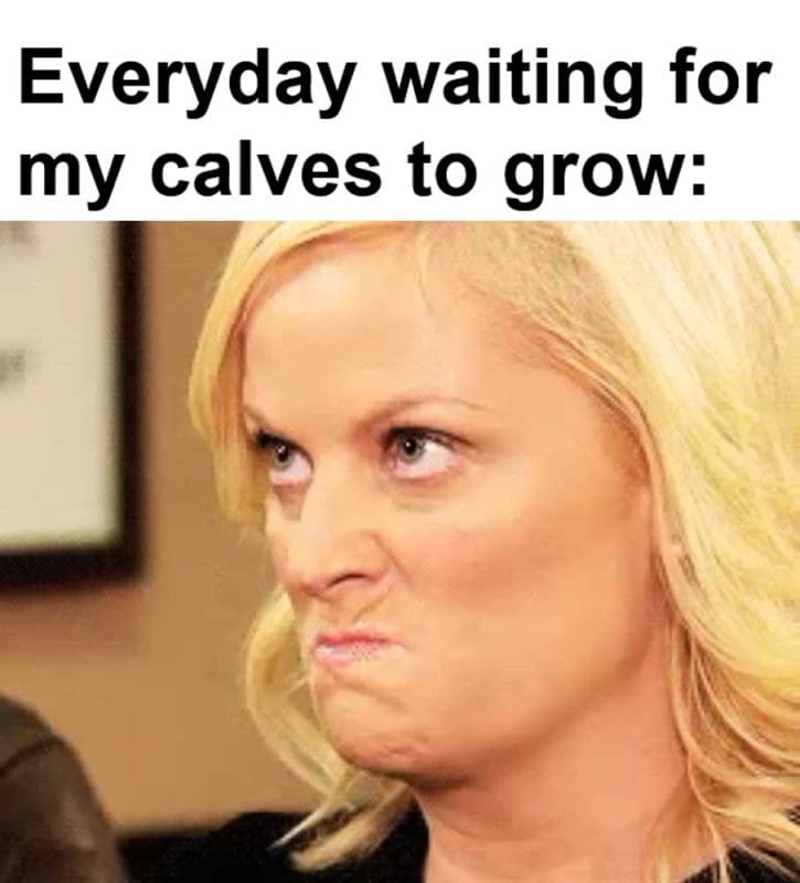 Everyday Waiting For My Calves To Grow