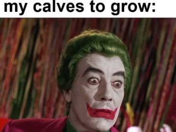 Everyday Waiting For My Calves To Grow