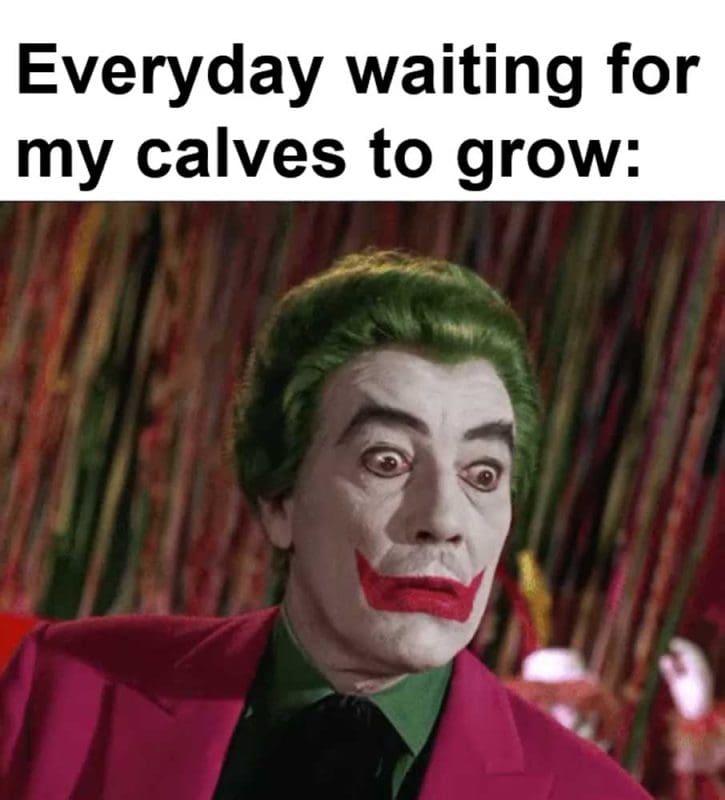 Everyday Waiting For My Calves To Grow