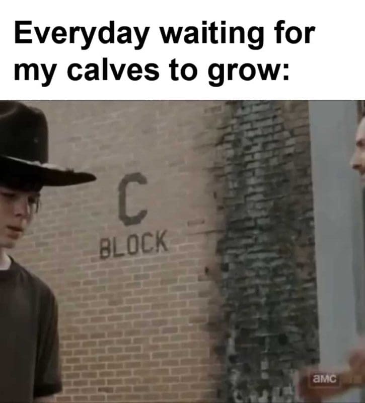 Everyday Waiting For My Calves To Grow