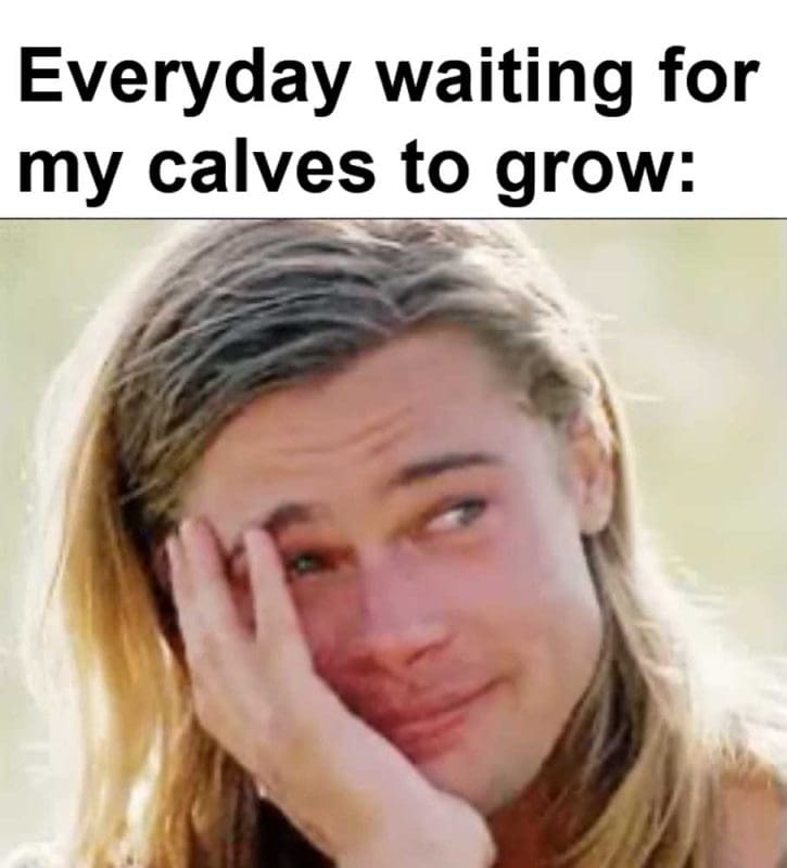 Everyday Waiting For My Calves To Grow