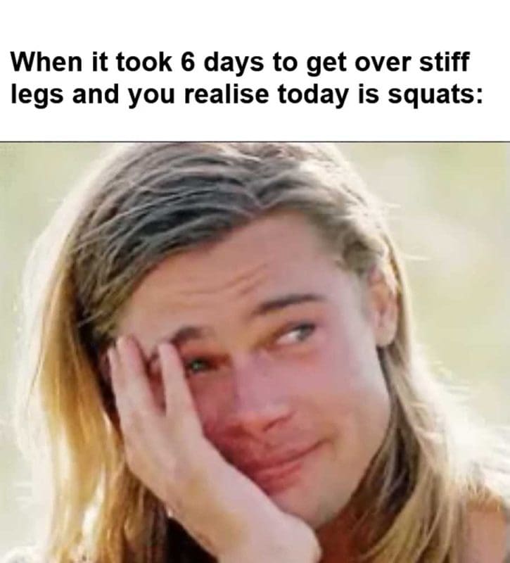When It Took Days To Get Over Stiff Legs And You Realise Today Is Squats