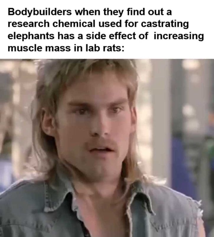 Bodybuilders When They Find Out A Research Chemical Used For Castrating Elephants Has A S