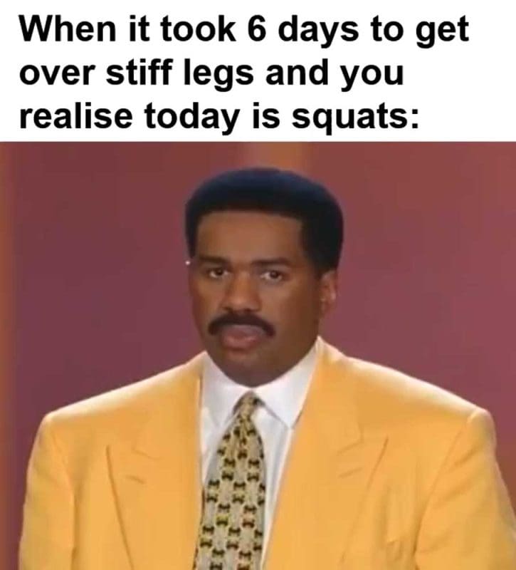 When It Took Days To Get Over Stiff Legs And You Realise Today Is Squats