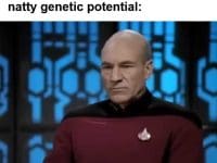 When Someone Asks If You Work Out When You've Almost Hit Your Natty Genetic Potential