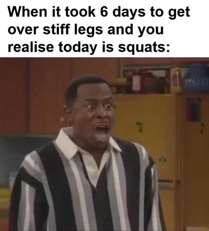 When It Took Days To Get Over Stiff Legs And You Realise Today Is Squats