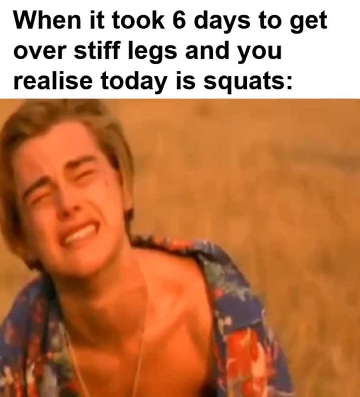 When It Took Days To Get Over Stiff Legs And You Realise Today Is Squats