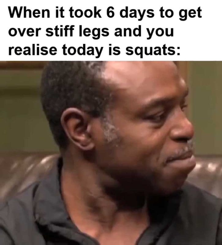 When It Took Days To Get Over Stiff Legs And You Realise Today Is Squats