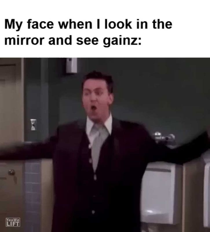 My Face When I Look In The Mirror And See Gainz