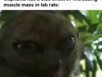 Bodybuilders When They Find Out A Research Chemical Used For Castrating Elephants Has A S