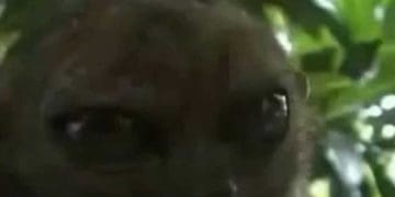 My Face Outside Any Restaurant After I Workout