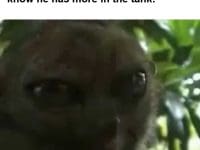 When My Gym Buddy Hits A Pr And I Know He Has More In The Tank