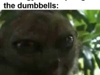 When You See Someone At The Gym Stockpiling The Dumbbells
