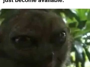 When You Spot A Bench That's Just Become Available