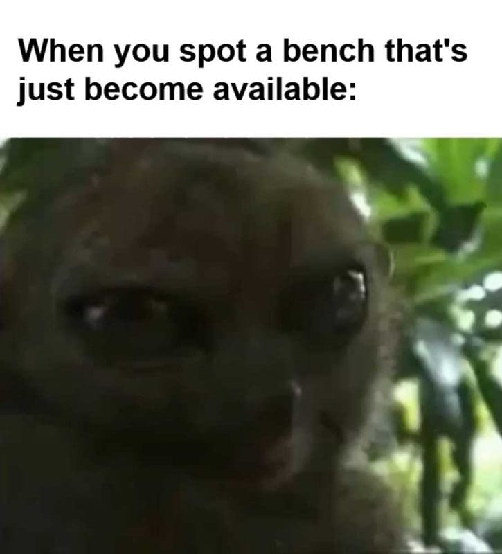 When You Spot A Bench That's Just Become Available