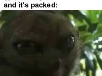 When You Walk Into The Gym During Dead Hours And It's Packed