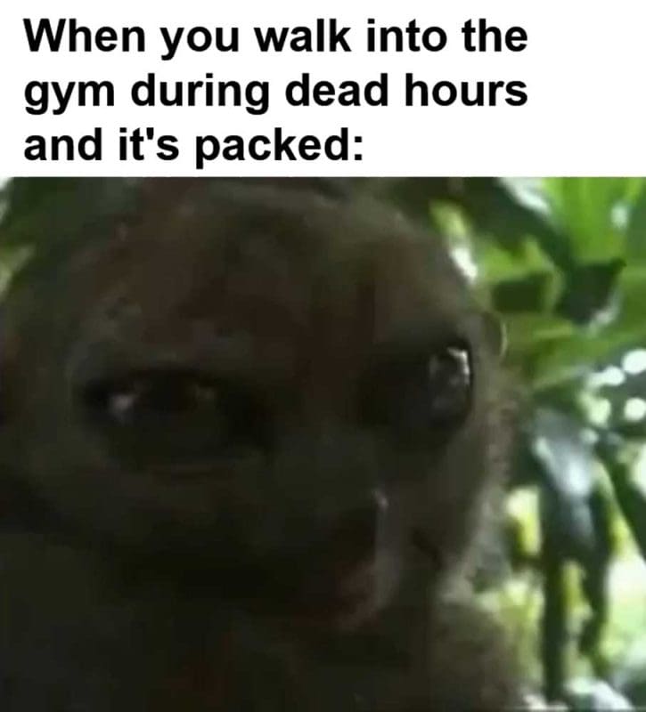When You Walk Into The Gym During Dead Hours And It's Packed