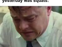 When The Lift Is Broken And Yesterday Was Squats