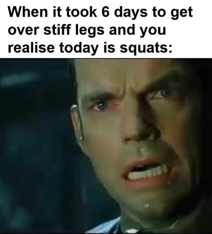 When It Took Days To Get Over Stiff Legs And You Realise Today Is Squats