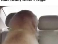 The Face You Make When You Realise You've Maxed Out Every Machine In The Gym