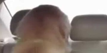 The Face You Make When You Realise You've Maxed Out Every Machine In The Gym