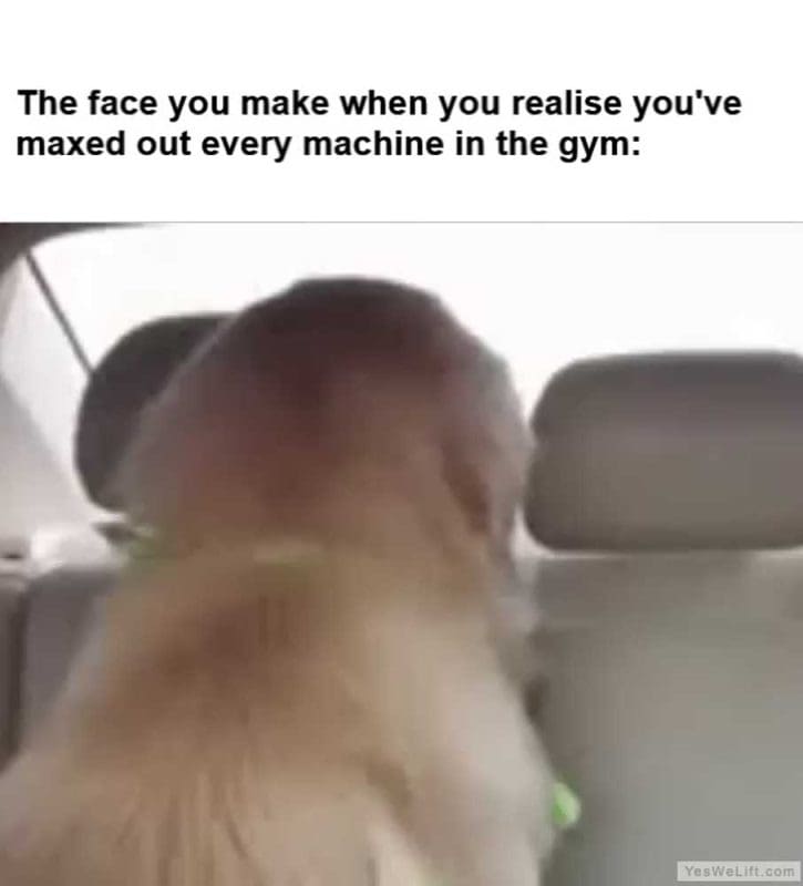 The Face You Make When You Realise You've Maxed Out Every Machine In The Gym