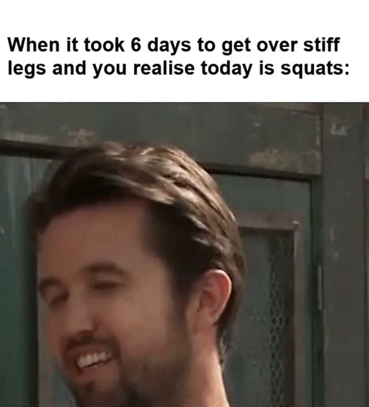 When It Took Days To Get Over Stiff Legs And You Realise Today Is Squats