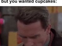 When Life Gives You Lemons But You Wanted Cupcakes